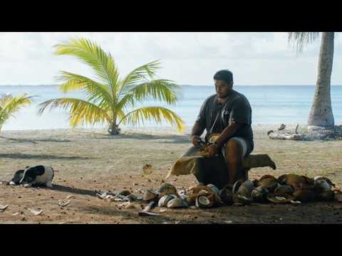 French Polynesia: Marevanui, the ally of the Tuamotus