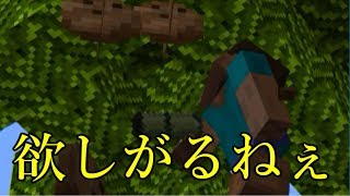 【マインクラフト】Reゼロから始めるつなまぴクラフト~南国編~【縛り実況】#4