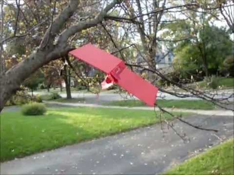Our interpertation of The Scarlet Ibis by James Hurst