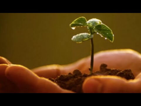 Njeriu i mirë! - Dr. Imam Ahmed Kalaja