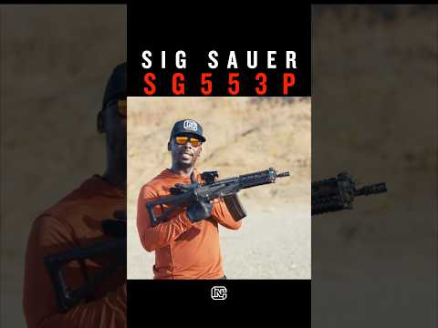 A Lot of AK-47 Mixed w/ A Little Bit of AR15 & A Dash of Rolex - Sig Sauer SG553P