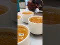 Chai Lover Status ️ Tea Time With Yaara Chai Lover Best Line ️ Purane Yaar Chai