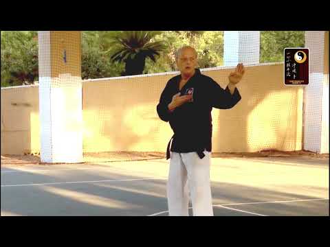 Basics: Knifehand Block – Sensei Rod Lindgren