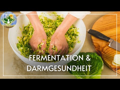 Wofür ist Fermentation gut? - Darmgesundheit statt Konservierung