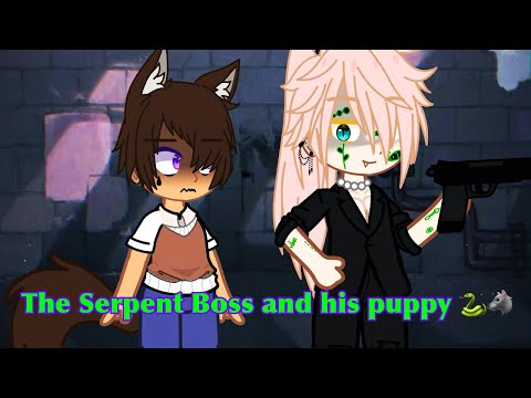 The serpent boss and his puppy 🐍🐺 BL (OMEGAVERSE).