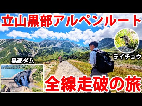 youtube-旅・海外記事2025/09/19 11:07:24