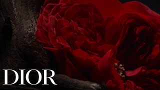 Christian Dior Esprit de Parfum - The Private Scent, Oud Ispahan