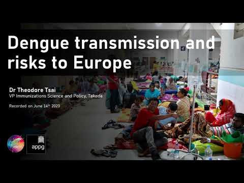 Dengue transmission and risks to Europe