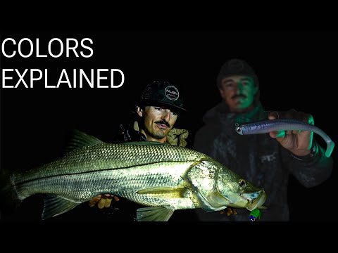 Choosing the right color for snook fishing at night explained