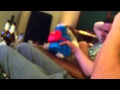 Cookie Monster Vs Cookie The Shih Tzu
