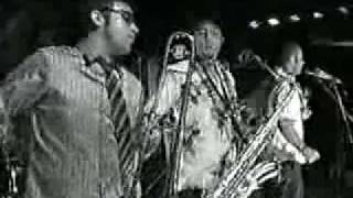 Go Jimmy Go - Mama Bird