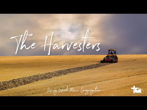 Danie Denysschen - The Harvesters (2023/07/09 11:15 Service)