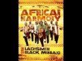 Wenyukela (Raise Your Spirit Higher) - [by Ladysmith Black Mambazo]