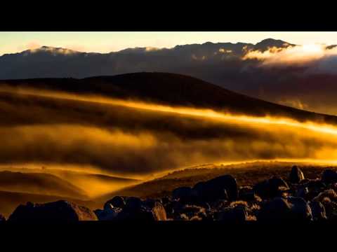 GMO Vs DENSE - The First Steps