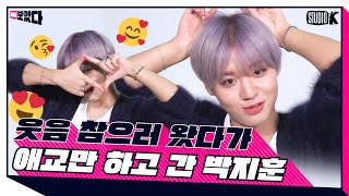 Download lagu [ENG SUB] 박지훈 애교만 잔뜩 있는 영상 (WARNING ; Cuteness Overload) [보았다 ; BOATTA 4화 Park Ji Hoon] mp3