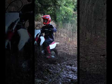 Primeiro trilhão 2026 Guaraniaçu Paraná perdidonatrilha 🚀🔥✊🏼👊🏻🙌🏻🙏🏻🇧🇷📿🫡