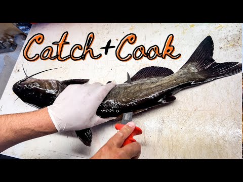 How I Catch, Clean and Cook Catfish, Wisconsin Style!