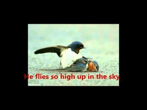 Marianne Faithfull - This Little Bird (with lyric)