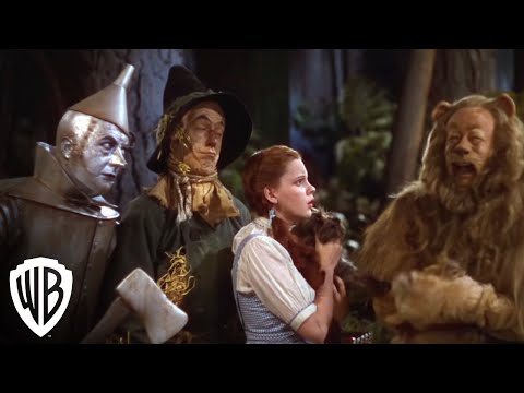 Thumbnail of the video: Dorothy Meets The Cowardly Lion