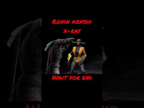X-RAY OF RONIN KENSHI