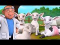 5 ছোট ছাগল - Five Little Goats | Bengali Rhymes for Children | Infobells
