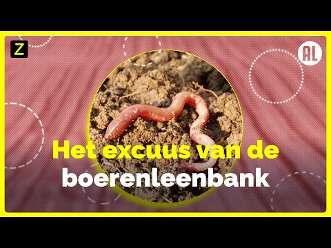 , title : 'Het excuus van de boerenleenbank (Rabobank)'
