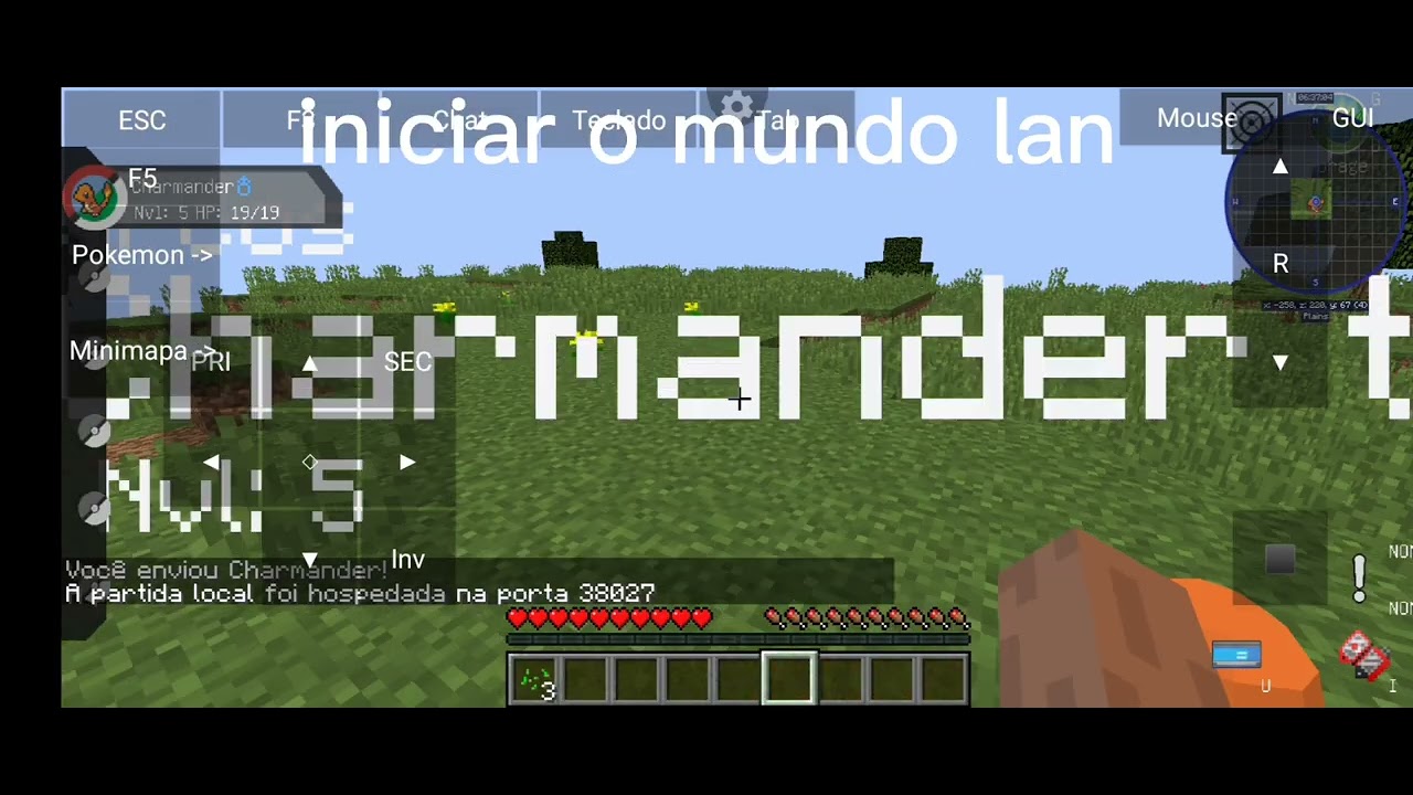 como jogar Pixelmon com um amigo
