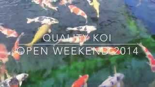 preview picture of video 'Quality Koi Open weekend 2014'