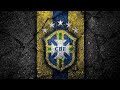 Brazil Status Video Hd