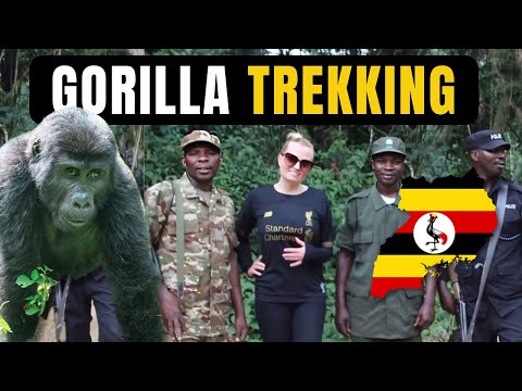 Batwa and Gorilla experience