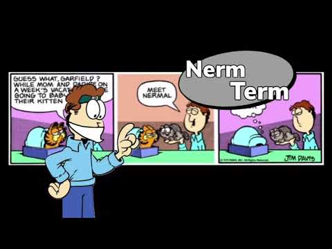 Nerm Term: Nermal’s first appearance