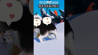マイリトルパピーをプレイしたことある人いますか？すぐ涙出ちゃう