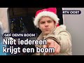 Gladjakkers: Monique krijgt een kerstboom want haar bedrijf brandde af | RTV Oost
