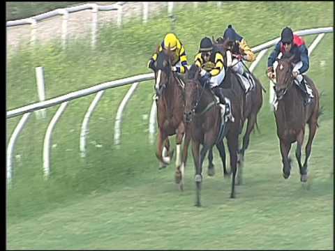 Galoppo 24/06/2016 - 3° corsa