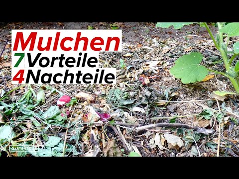 Mulchen: 7 Vorteile und 4 Nachteile vom Mulchen im Garten! Mulchst du deine Beete?