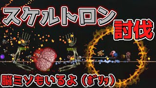 【テラリア】スケルトロンリベンジ！そしてあの剣をゲットしに！/初心者は教わりながらマスター攻略するってさPart6【ゆっくり実況】