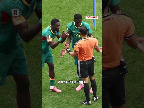 😬 Pape Thiaw catégorique concernant le penalty sifflé en faveur de la Belgique #fifaworldcuponyt