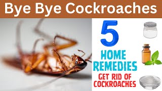 Say Goodbye to Cockroaches Forever | 5 Home Remedies to get rid of Cockroaches | Cockroach free home