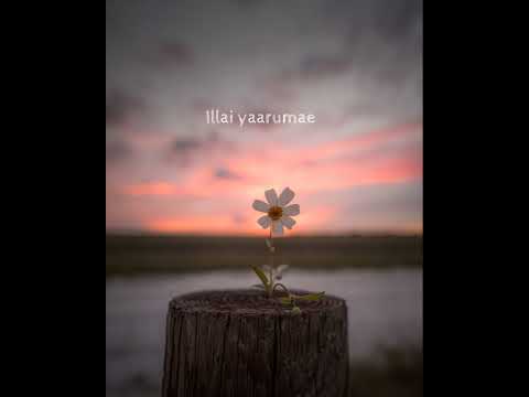 😥😥kaatrodu pattam pola song whatsapp status VP creations😔😔