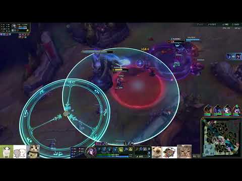 duoking1 │ Zyra vs Viktor │ 08 Apr 2025