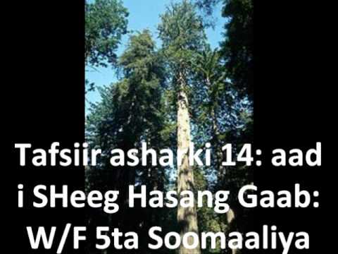 Tafsiirky Quraangky Kariimky SHeeg Hasang Gaab asharki 14: aad supy Jimaahed W/F 5ta Soomaaliya.