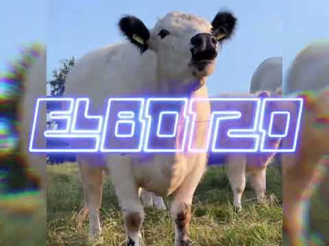 El Botzo - I bin fidel (a Rindvieh)