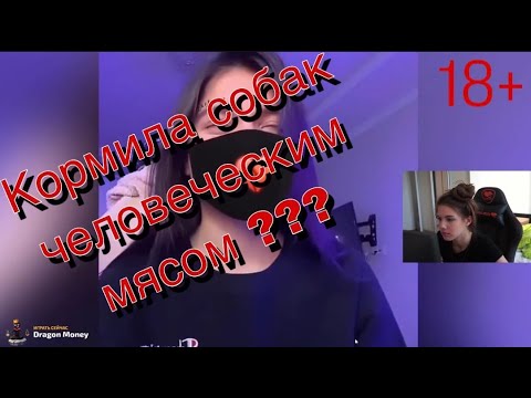 Реакция Akyuliychlen на ДЕНЛИ ХВАТИТ | СЛИВЫ ВСЕХ СТРИМЕРШ