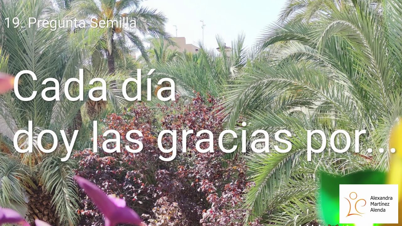 <b>Pregunta 19:</b> Cada día doy las gracias por…
