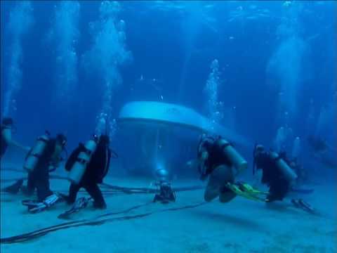 Penn & Teller: Off The Deep End (Part 10)