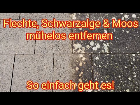 Flechte, Schwarzalge & Moos mühelos entfernen von Terrassen, Terrassenplatten, Balkon, Gehwegplatten