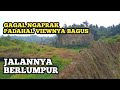 DIBUANG SAYANG GAGAL NGAPRAK DI BEKAS GALIAN PASIR KARENA JALANNYA BERLUMPUR