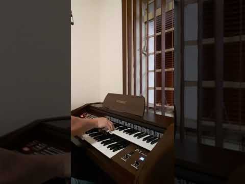 Meu mais novo ...Órgão D2 Tokai..surpreendente...lindo.