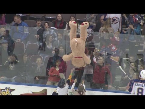 Admirals Fall To Springfield Falcons 3-1 on Toy Toss Night