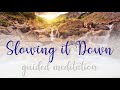 Slowing It Down Flowing With The Moment A 10 Minute Guided Meditation